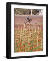 View of Vineyards and Mountain, Bodega Del Anelo Winery, Finca Roja, Neuquen, Patagonia, Argentina-Per Karlsson-Framed Photographic Print