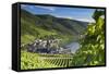 View of vineyards and River Moselle, Bernkastel-Kues, Rhineland-Palatinate, Germany, Europe-Ian Trower-Framed Stretched Canvas