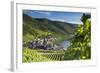 View of vineyards and River Moselle, Bernkastel-Kues, Rhineland-Palatinate, Germany, Europe-Ian Trower-Framed Photographic Print