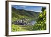 View of vineyards and River Moselle, Bernkastel-Kues, Rhineland-Palatinate, Germany, Europe-Ian Trower-Framed Photographic Print