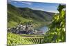 View of vineyards and River Moselle, Bernkastel-Kues, Rhineland-Palatinate, Germany, Europe-Ian Trower-Mounted Photographic Print