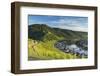 View of vineyards and River Moselle, Bernkastel-Kues, Rhineland-Palatinate, Germany-Ian Trower-Framed Photographic Print