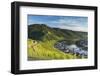 View of vineyards and River Moselle, Bernkastel-Kues, Rhineland-Palatinate, Germany-Ian Trower-Framed Photographic Print