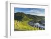 View of vineyards and River Moselle, Bernkastel-Kues, Rhineland-Palatinate, Germany-Ian Trower-Framed Photographic Print