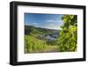 View of vineyards and River Moselle, Bernkastel-Kues, Rhineland-Palatinate, Germany-Ian Trower-Framed Photographic Print