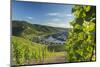 View of vineyards and River Moselle, Bernkastel-Kues, Rhineland-Palatinate, Germany-Ian Trower-Mounted Photographic Print