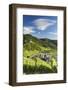 View of vineyards and River Moselle, Bernkastel-Kues, Rhineland-Palatinate, Germany-Ian Trower-Framed Photographic Print