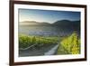 View of vineyards, Bernkastel-Kues, Rhineland-Palatinate, Germany-Ian Trower-Framed Photographic Print