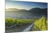 View of vineyards, Bernkastel-Kues, Rhineland-Palatinate, Germany-Ian Trower-Mounted Photographic Print