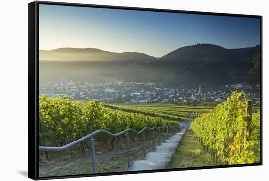 View of vineyards, Bernkastel-Kues, Rhineland-Palatinate, Germany-Ian Trower-Framed Stretched Canvas