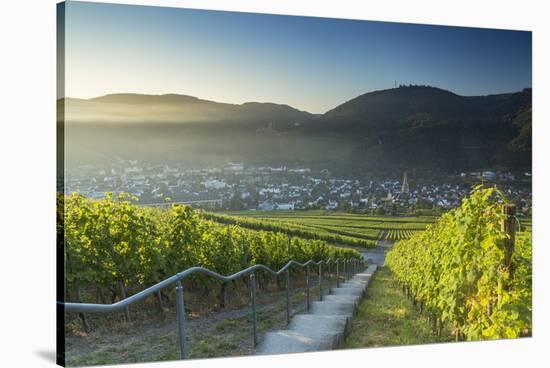 View of vineyards, Bernkastel-Kues, Rhineland-Palatinate, Germany-Ian Trower-Stretched Canvas