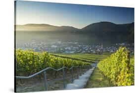 View of vineyards, Bernkastel-Kues, Rhineland-Palatinate, Germany-Ian Trower-Stretched Canvas