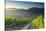 View of vineyards, Bernkastel-Kues, Rhineland-Palatinate, Germany-Ian Trower-Stretched Canvas