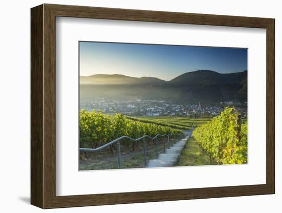 View of vineyards, Bernkastel-Kues, Rhineland-Palatinate, Germany-Ian Trower-Framed Photographic Print