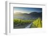 View of vineyards, Bernkastel-Kues, Rhineland-Palatinate, Germany-Ian Trower-Framed Photographic Print