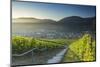 View of vineyards, Bernkastel-Kues, Rhineland-Palatinate, Germany-Ian Trower-Mounted Photographic Print