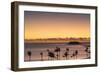 View of Wadigi Island at Sunset, Mamanuca Islands, Fiji-Ian Trower-Framed Photographic Print