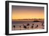 View of Wadigi Island at Sunset, Mamanuca Islands, Fiji-Ian Trower-Framed Photographic Print