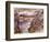 View of Walchen Lake, 1919-Lovis Corinth-Framed Giclee Print