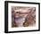 View of Walchen Lake, 1919-Lovis Corinth-Framed Giclee Print