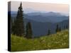 View of Washington Cascade Mountain Ranges, Washington State, USA-Janis Miglavs-Stretched Canvas