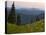 View of Washington Cascade Mountain Ranges, Washington State, USA-Janis Miglavs-Stretched Canvas