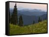 View of Washington Cascade Mountain Ranges, Washington State, USA-Janis Miglavs-Framed Stretched Canvas