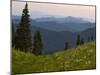 View of Washington Cascade Mountain Ranges, Washington State, USA-Janis Miglavs-Mounted Photographic Print