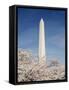 View of Washington Monument, Washington DC, USA-Michele Molinari-Framed Stretched Canvas