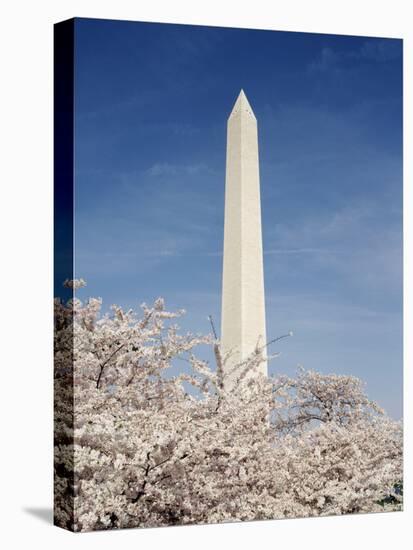 View of Washington Monument, Washington DC, USA-Michele Molinari-Stretched Canvas