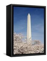 View of Washington Monument, Washington DC, USA-Michele Molinari-Framed Stretched Canvas