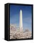 View of Washington Monument, Washington DC, USA-Michele Molinari-Framed Stretched Canvas