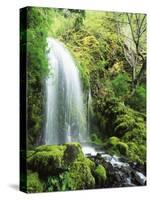 View of Waterfall, Columbia River Gorge, Mt Hood National Forest, Oregon, USA-Stuart Westmorland-Stretched Canvas