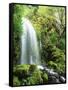 View of Waterfall, Columbia River Gorge, Mt Hood National Forest, Oregon, USA-Stuart Westmorland-Framed Stretched Canvas