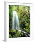 View of Waterfall, Columbia River Gorge, Mt Hood National Forest, Oregon, USA-Stuart Westmorland-Framed Premium Photographic Print