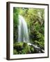 View of Waterfall, Columbia River Gorge, Mt Hood National Forest, Oregon, USA-Stuart Westmorland-Framed Premium Photographic Print