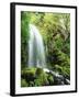 View of Waterfall, Columbia River Gorge, Mt Hood National Forest, Oregon, USA-Stuart Westmorland-Framed Premium Photographic Print