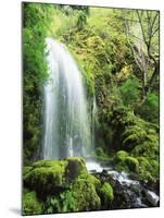 View of Waterfall, Columbia River Gorge, Mt Hood National Forest, Oregon, USA-Stuart Westmorland-Mounted Premium Photographic Print