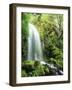 View of Waterfall, Columbia River Gorge, Mt Hood National Forest, Oregon, USA-Stuart Westmorland-Framed Photographic Print