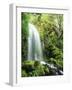 View of Waterfall, Columbia River Gorge, Mt Hood National Forest, Oregon, USA-Stuart Westmorland-Framed Photographic Print