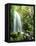 View of Waterfall, Columbia River Gorge, Mt Hood National Forest, Oregon, USA-Stuart Westmorland-Framed Stretched Canvas