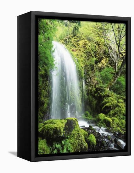 View of Waterfall, Columbia River Gorge, Mt Hood National Forest, Oregon, USA-Stuart Westmorland-Framed Stretched Canvas