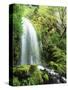 View of Waterfall, Columbia River Gorge, Mt Hood National Forest, Oregon, USA-Stuart Westmorland-Stretched Canvas