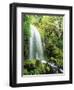 View of Waterfall, Columbia River Gorge, Mt Hood National Forest, Oregon, USA-Stuart Westmorland-Framed Photographic Print