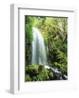 View of Waterfall, Columbia River Gorge, Mt Hood National Forest, Oregon, USA-Stuart Westmorland-Framed Photographic Print