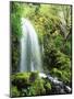 View of Waterfall, Columbia River Gorge, Mt Hood National Forest, Oregon, USA-Stuart Westmorland-Mounted Photographic Print
