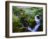 View of Waterfall in Forest, Oregon, USA-Stuart Westmorland-Framed Premium Photographic Print