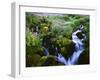 View of Waterfall in Forest, Oregon, USA-Stuart Westmorland-Framed Premium Photographic Print