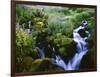 View of Waterfall in Forest, Oregon, USA-Stuart Westmorland-Framed Photographic Print