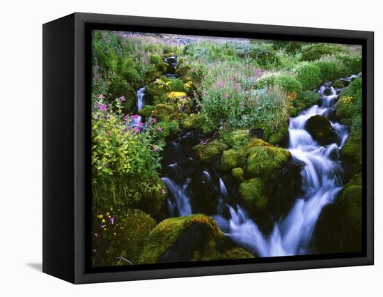 View of Waterfall in Forest, Oregon, USA-Stuart Westmorland-Framed Stretched Canvas